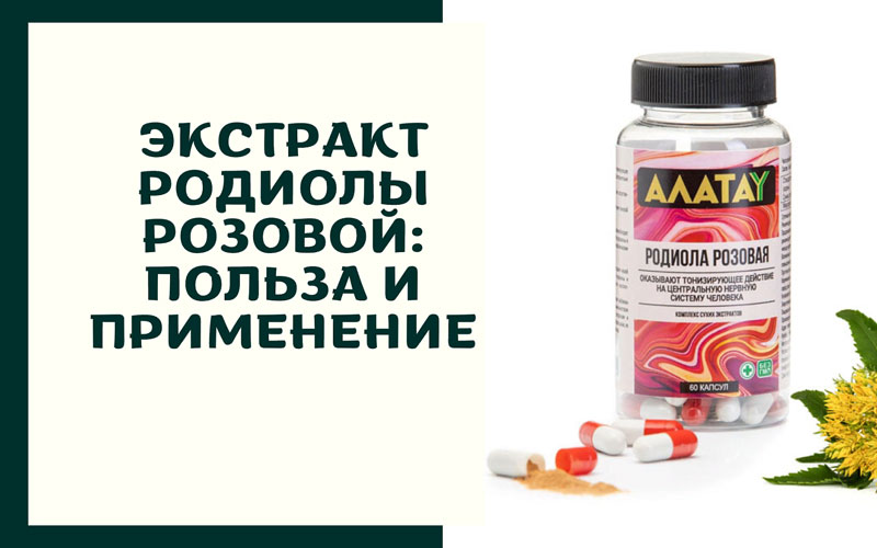 Экстракт родиолы розовой: польза и применение Экстракт родиолы розовой: польза и применение