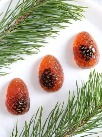 Мармелад с сосновой шишкой, 1 кг Мармелад с сосновой шишкой, 1 кг